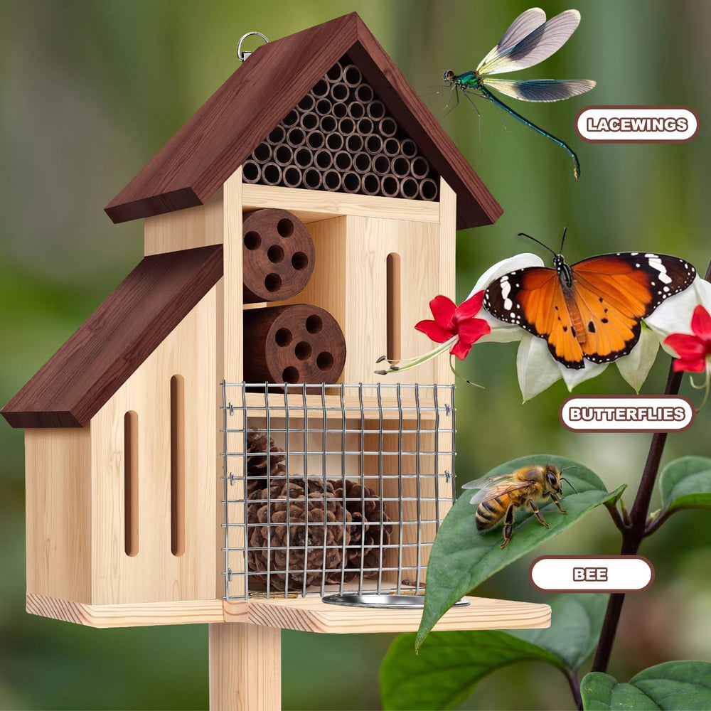Hoteam butterfly compartment open and lined for shelter, provides safe resting space