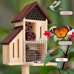 Hoteam butterfly compartment open and lined for shelter, provides safe resting space