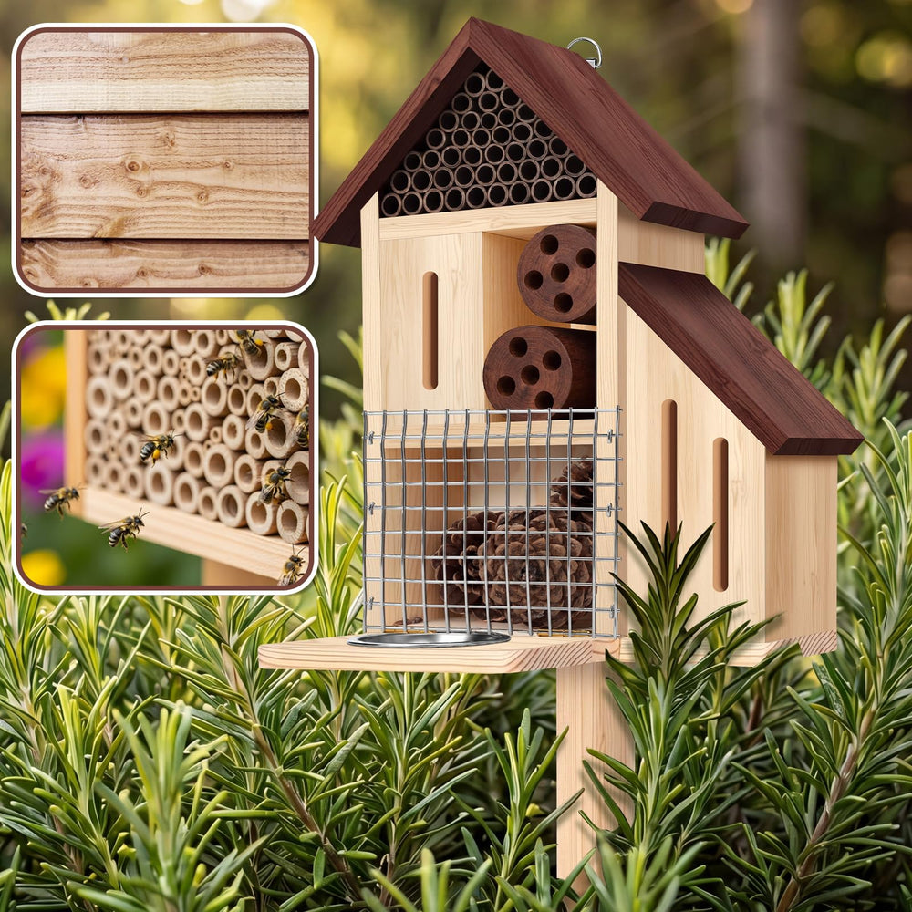 Hoteam feeding tray filled with nectar demonstrating easy refilling and pollinator support