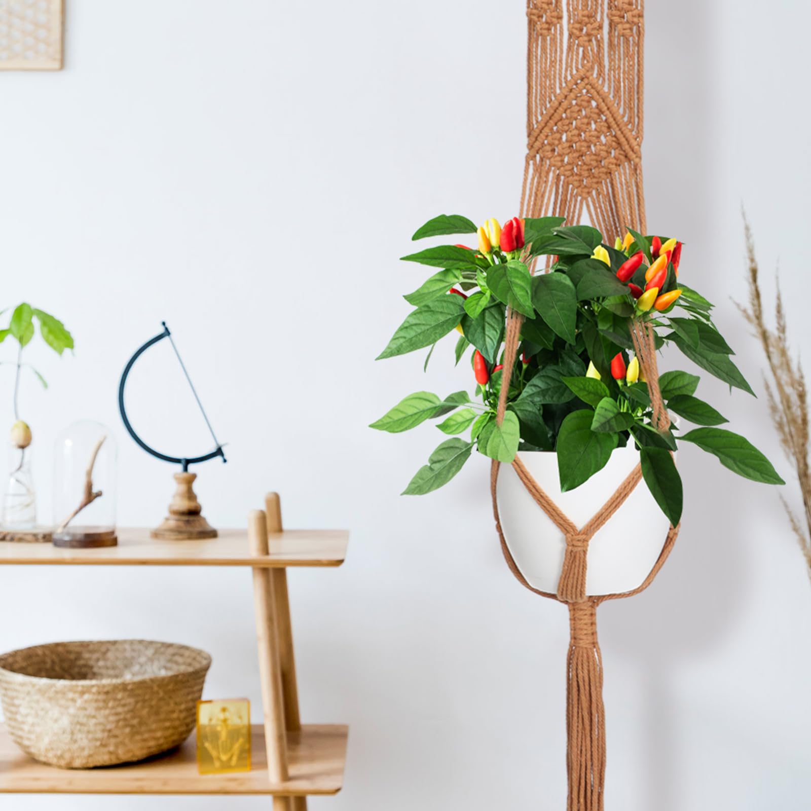 Hoteam balcony display with pots in hangers creating layered greenery