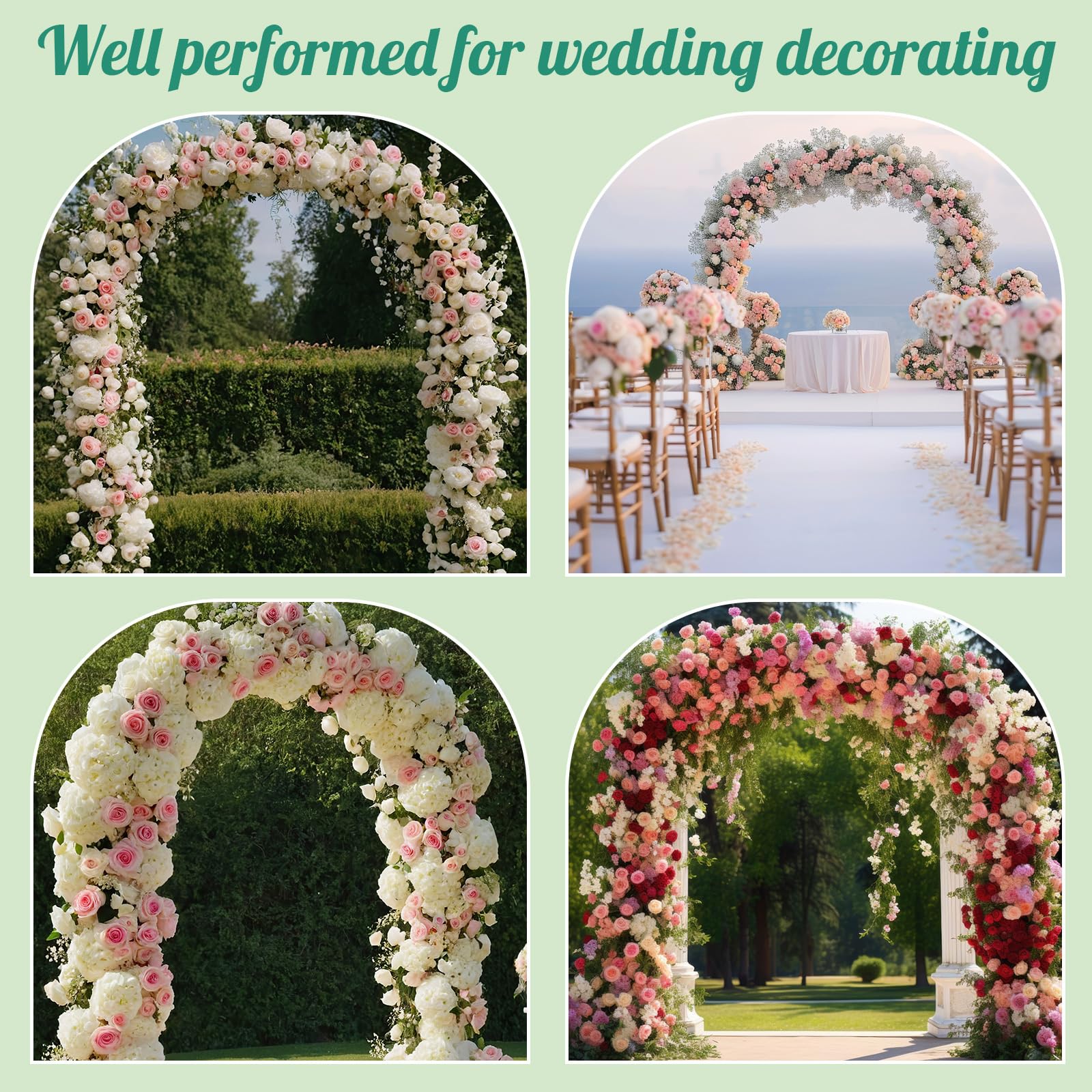 Hotop arch with climbing roses demonstrating plant training and visual charm