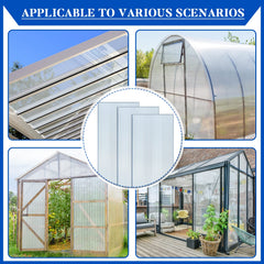 Hotop panel installed in greenhouse showing bright, protected growing environment