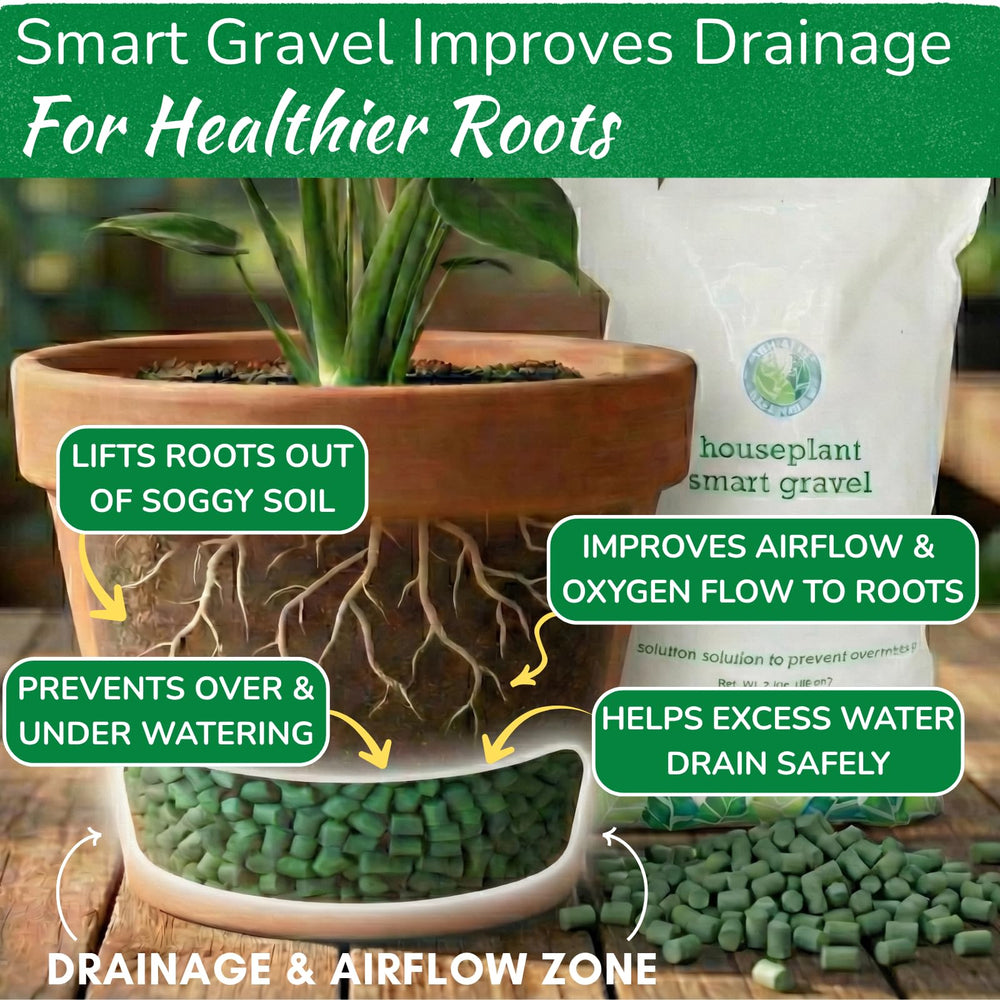 houseplant resource center gravel layer in pot illustrating separation of soil and standing water protection