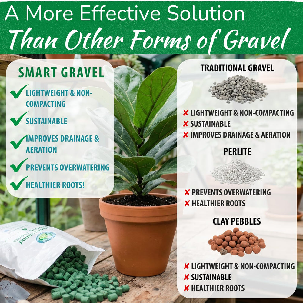 houseplant resource center gravel under a succulent demonstrating faster drainage and healthier roots