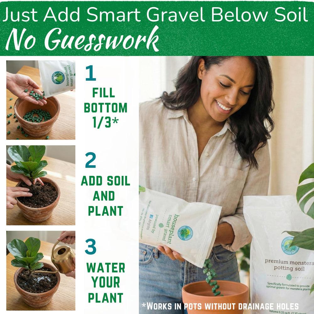 houseplant resource center gravel next to a ruler to show size and coverage for planning