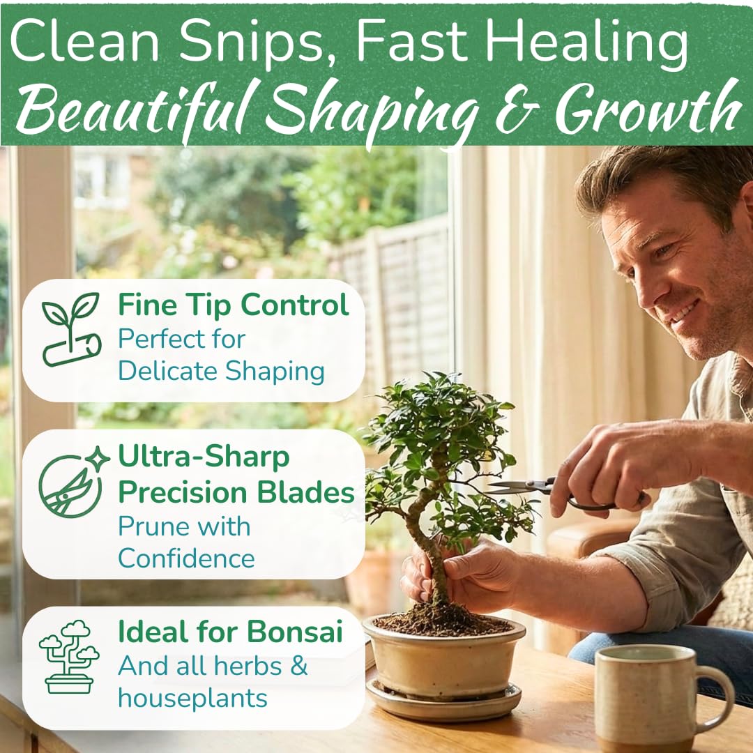 HOUSEPLANT RESOURCE CENTER shears trimming a succulent demonstrating precise, clean cuts for healthier plants