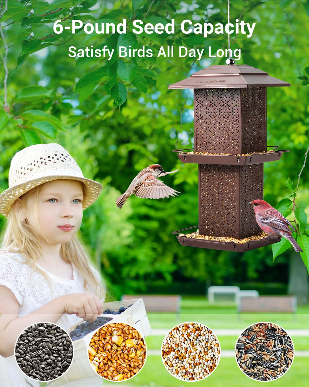 HouseSapp double-tier tray close-up showing multiple feeding spots advantage