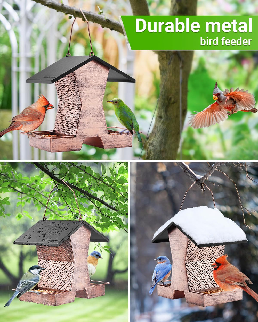 HouseSapp feeder in use with cardinal and finches attracting diverse wild birds