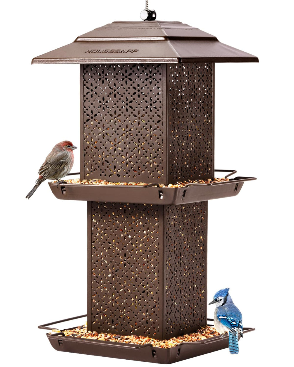 HouseSapp front view showing durable metal feeder and large seed capacity benefit