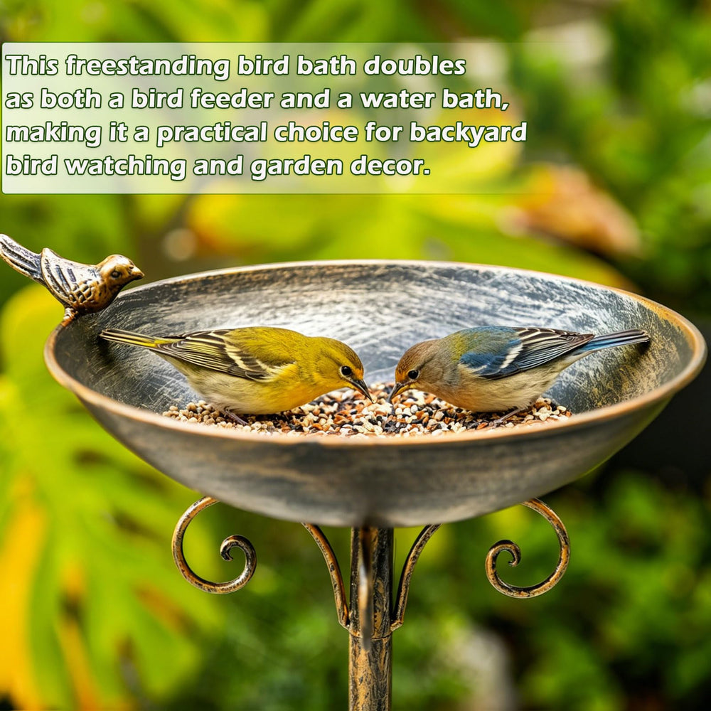 HOUYANG bird perched in bowl demonstrating comfortable footing for wild birds