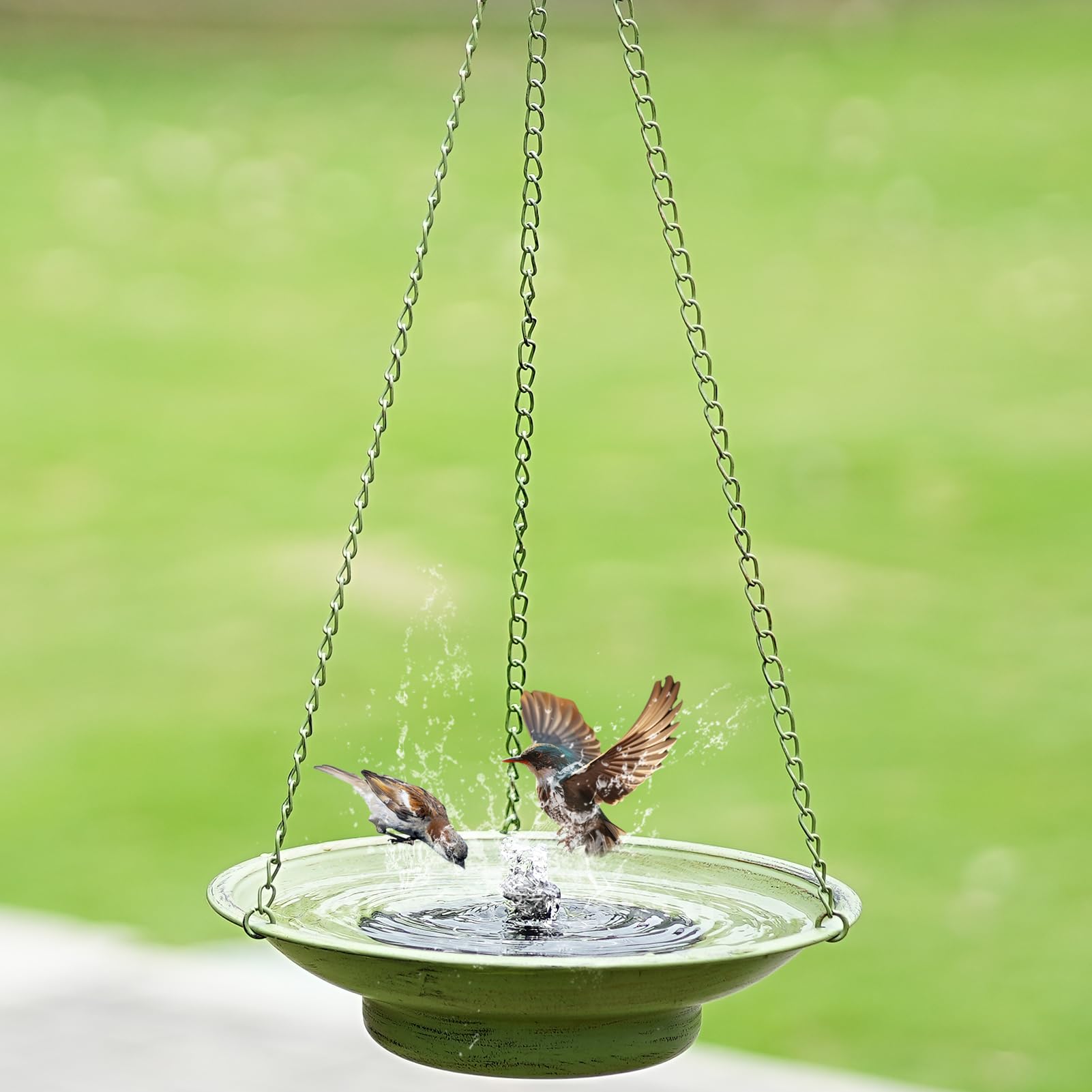 HOUYANG bowl interior with water showing shallow bird-friendly bathing benefit