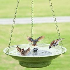 HOUYANG front view of hanging bird bath showing durable design and attraction