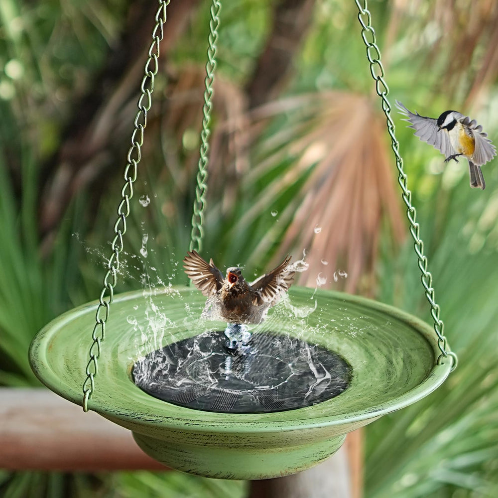 HOUYANG birds bathing in bowl showing attraction and lively water benefit