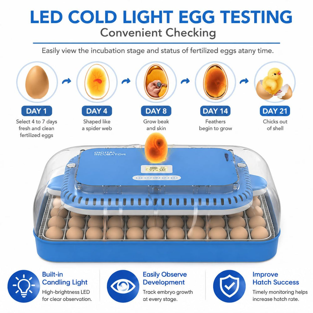 howooiua built-in candler illumination revealing embryo development safely