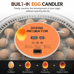 howooiua egg tray with eggs being turned showing organized hatching support