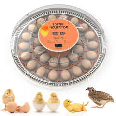 howooiua front view showing compact incubator with clear lid and capacity