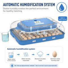 howooiua adjustable trays and egg layout detail boosting hatch versatility