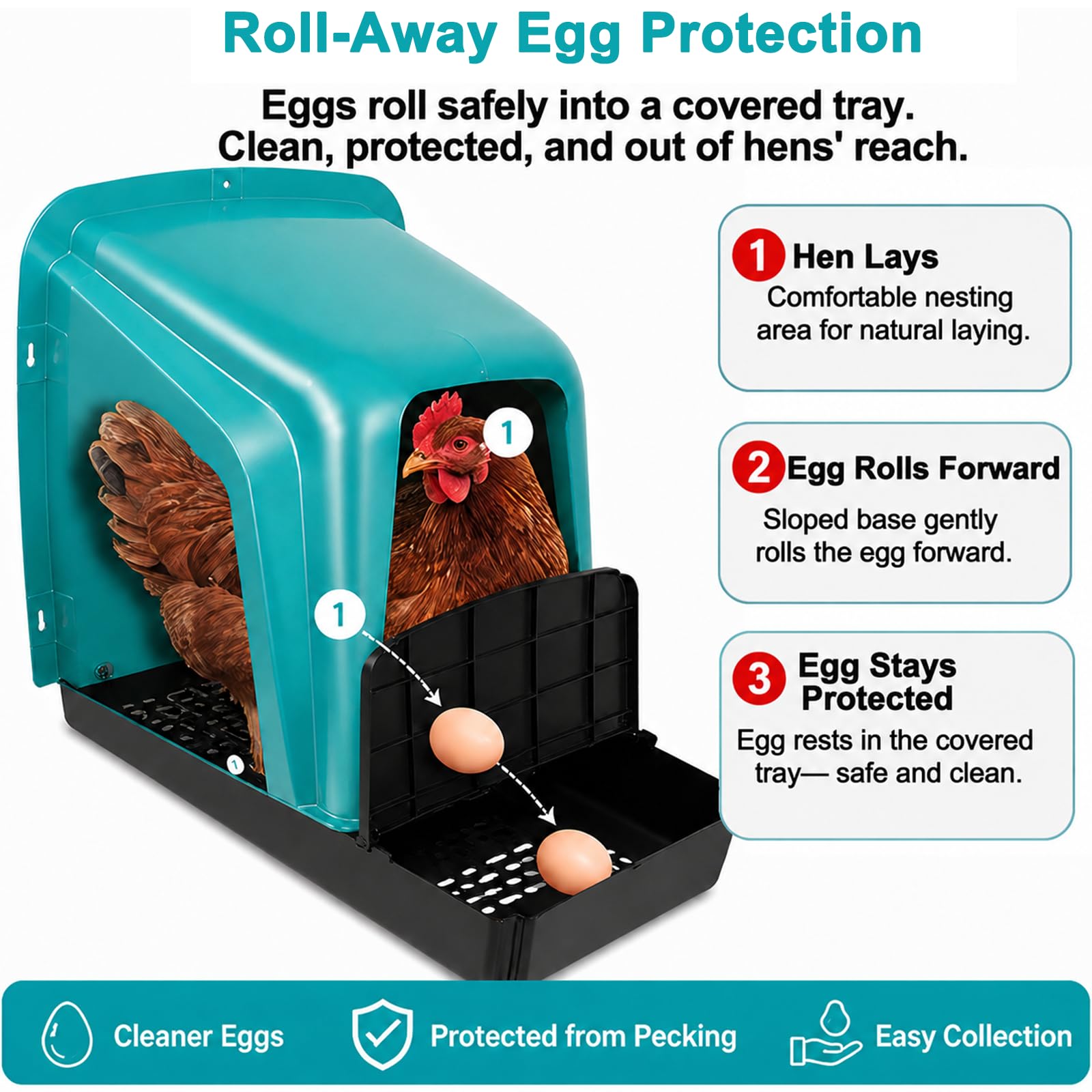 HOWUXZO closeup of sloped ramp and covered catch area protecting eggs from pecking