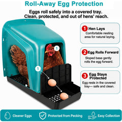 HOWUXZO closeup of sloped ramp and covered catch area protecting eggs from pecking