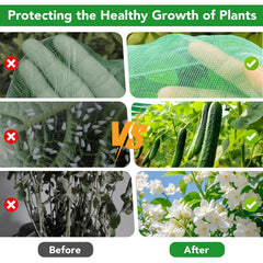 Hoyejyou assembled row cover over raised bed offering plant protection and airflow