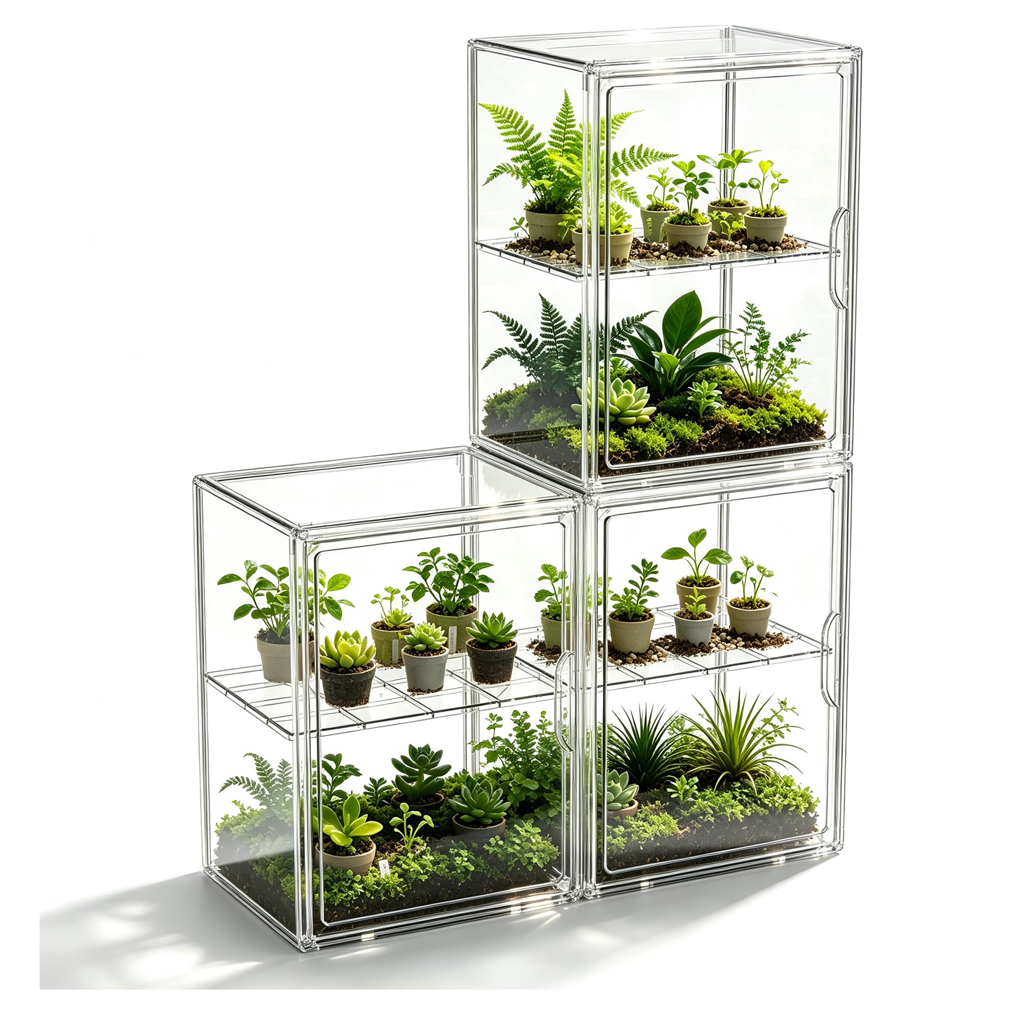 HOYOJA front view showing three clear boxes, displays contents neatly