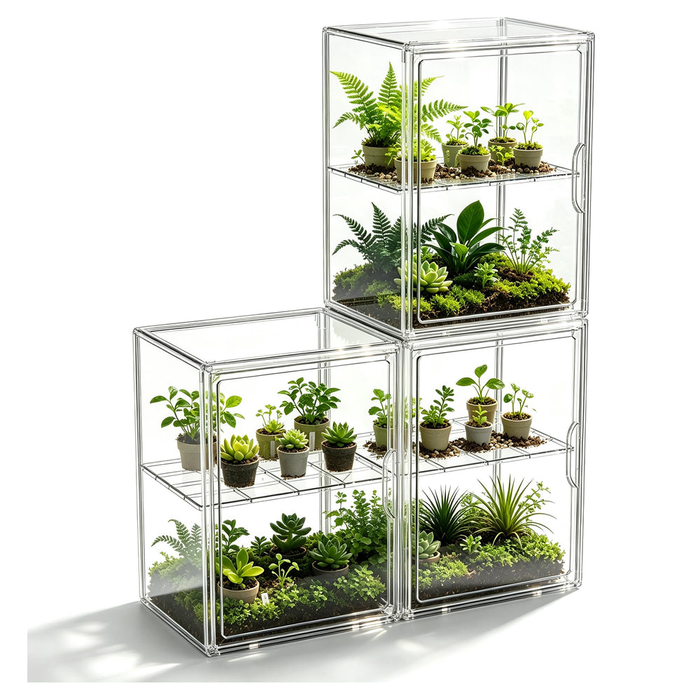 HOYOJA front view showing three clear boxes, displays contents neatly
