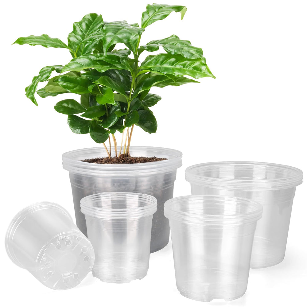 HQAUT front view of clear pot set showing sizes and easy plant visibility