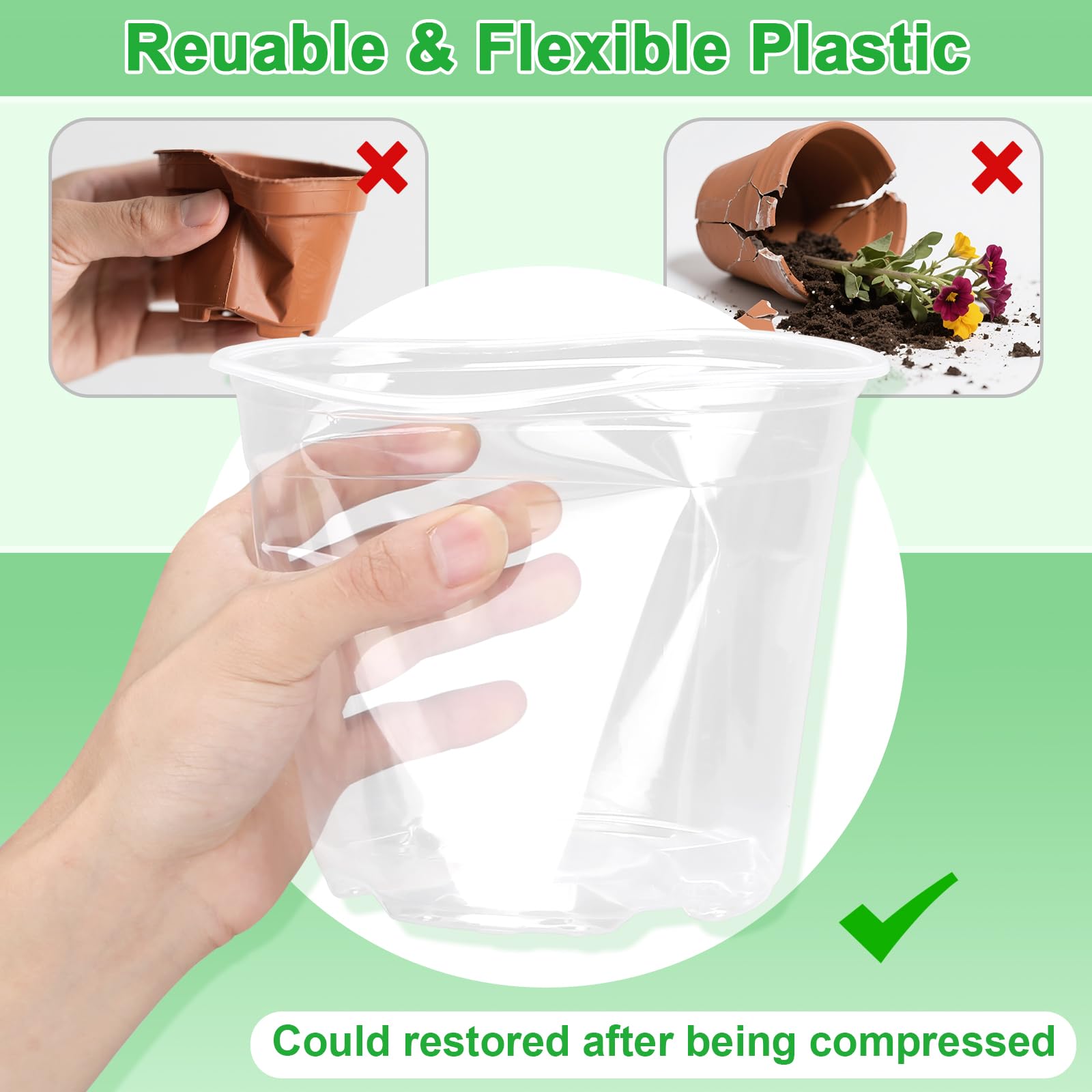 HQAUT transparent pot with visible roots enabling quick root health checks