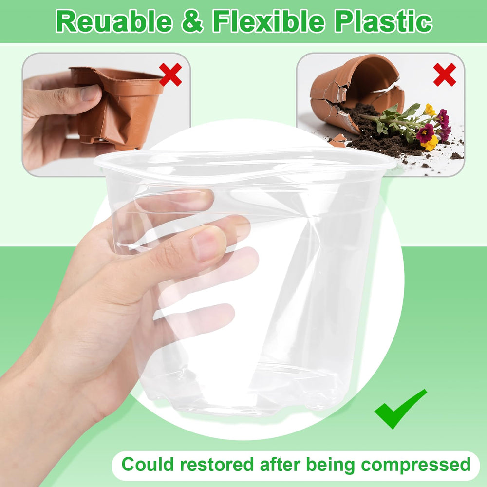 HQAUT transparent pot with visible roots enabling quick root health checks