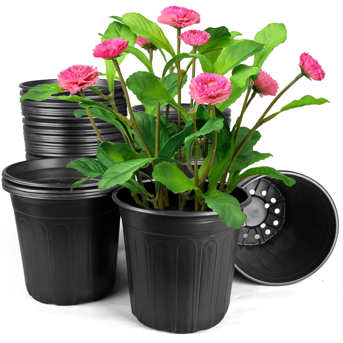 HQAUT front view of 2 gallon pot showing shape and size benefit