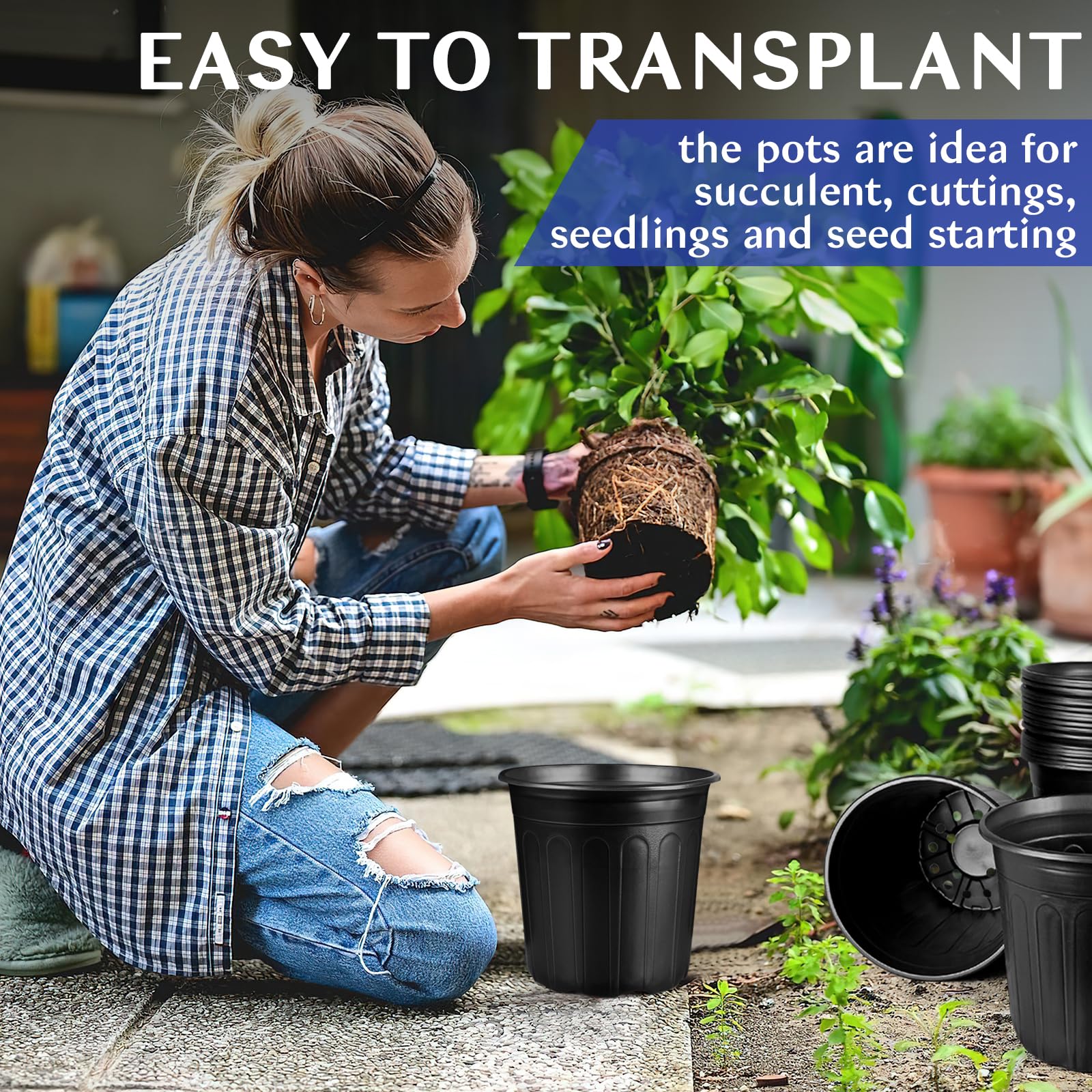 HQAUT pot with succulent inside demonstrating planting versatility