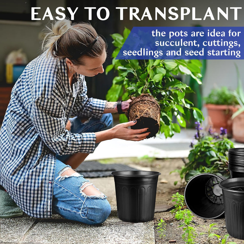 HQAUT pot with succulent inside demonstrating planting versatility
