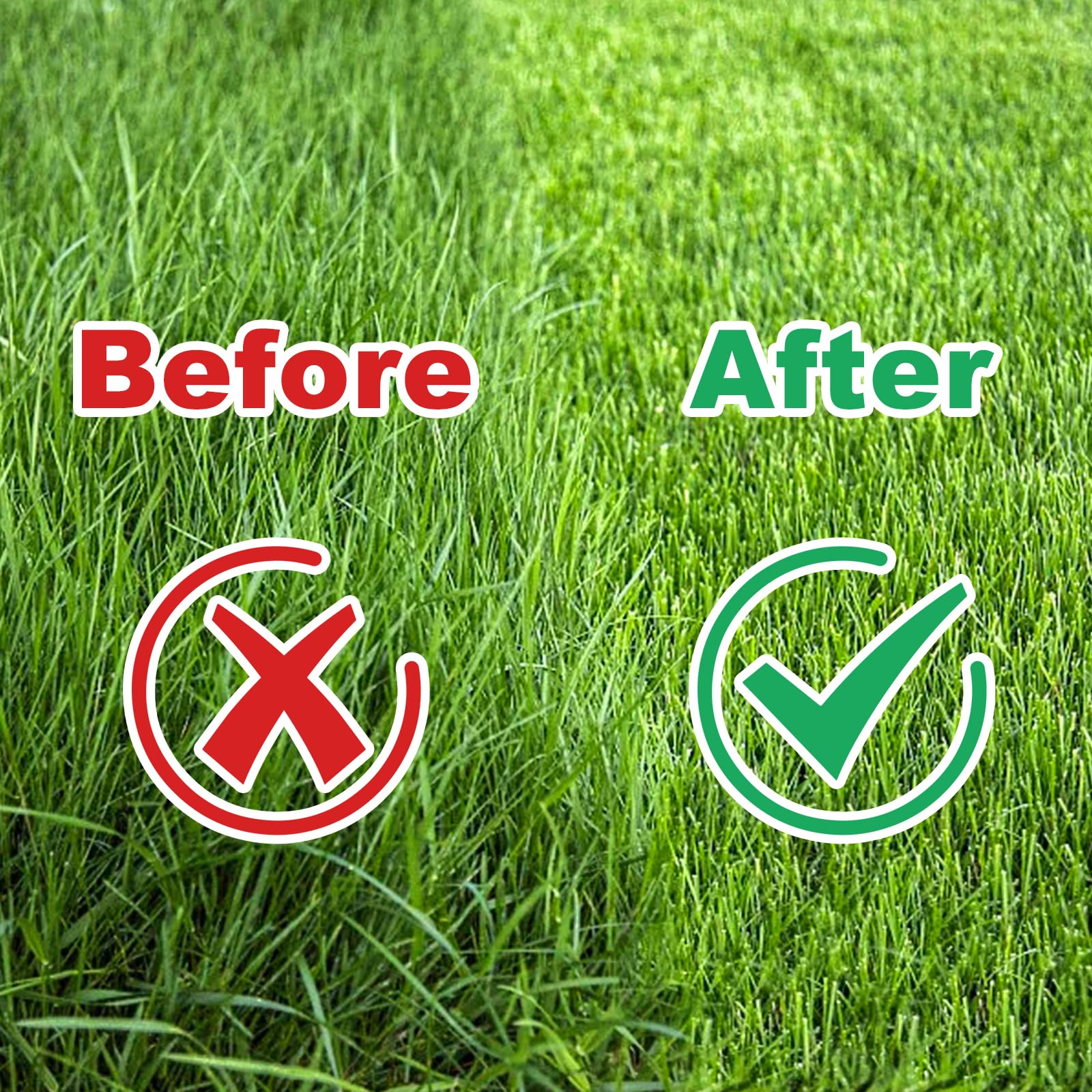 HRADHOL in use on lawn showing faster clearing of tall grass benefit