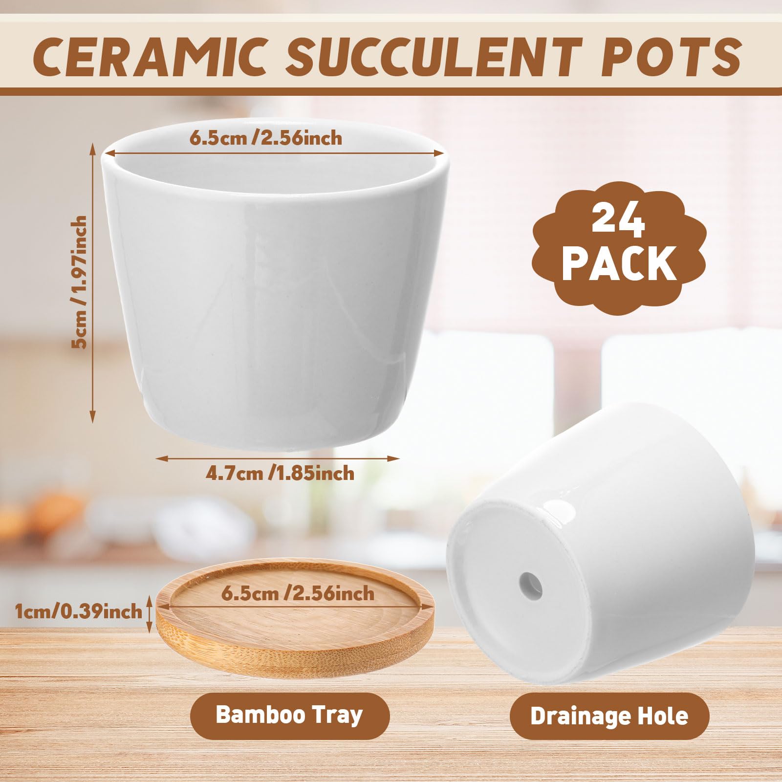 Hsei close-up of ceramic pot texture and drainage hole offering durable moisture control