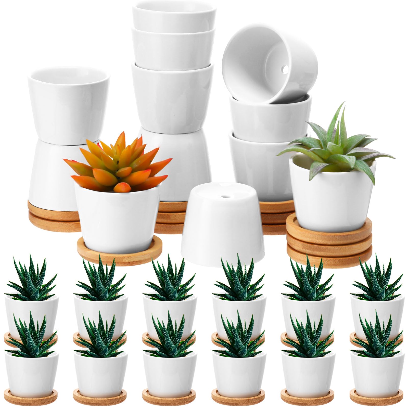 Hsei front view of 24 white ceramic pots showing uniform set and trays for event styling