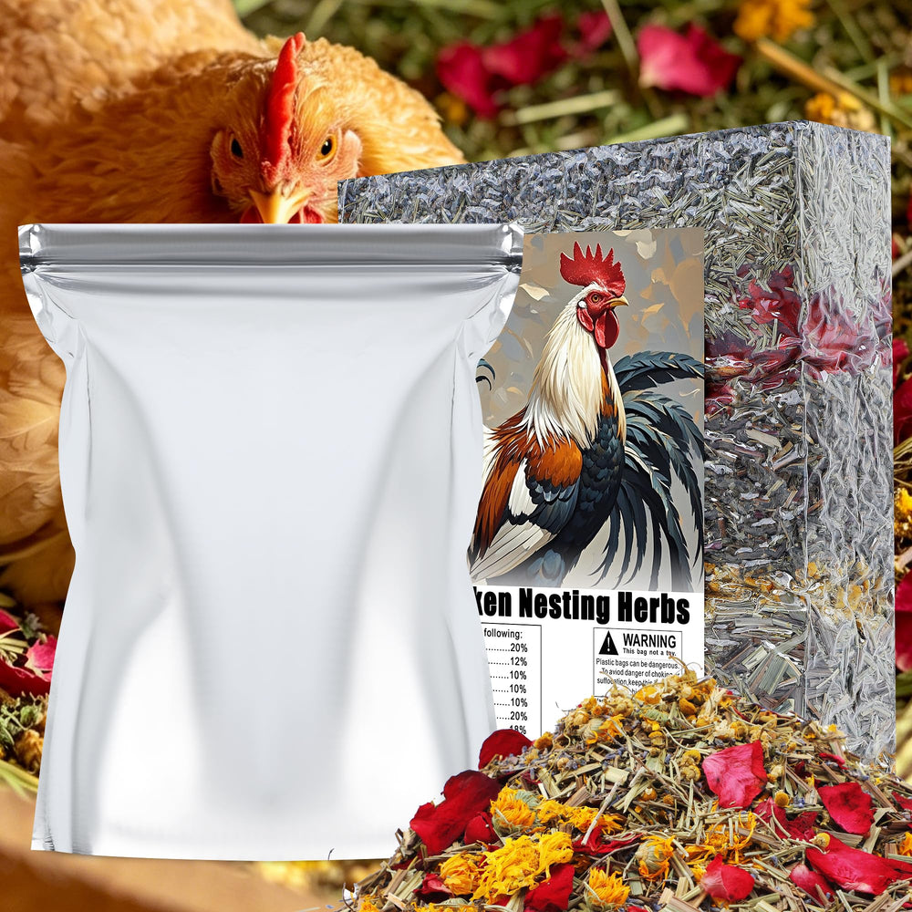 HSJZYDSM in a backyard coop setting creating a pleasant environment