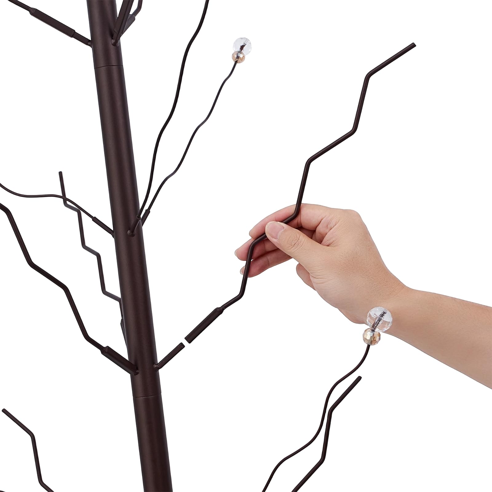 HUAGHEE bottle tree placed in garden adding color and vertical interest