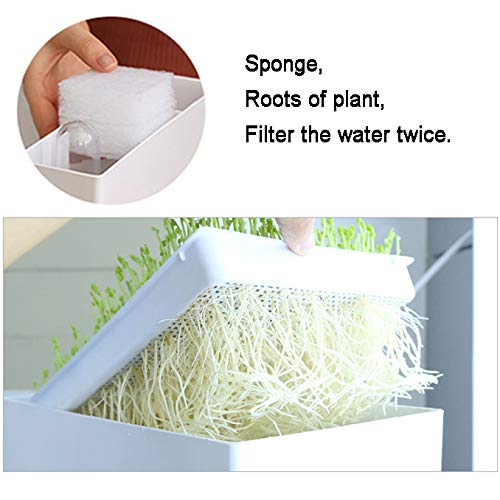 Huamuyu closeup of plant roots in water, visible filtration and healthy growth