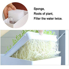 Huamuyu closeup of plant roots in water, visible filtration and healthy growth
