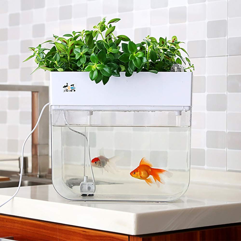 Huamuyu showing scale with a hand, compact 3-gallon size for small spaces