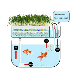 Huamuyu top view of seed sprouter tray with seedlings, easy access for planting