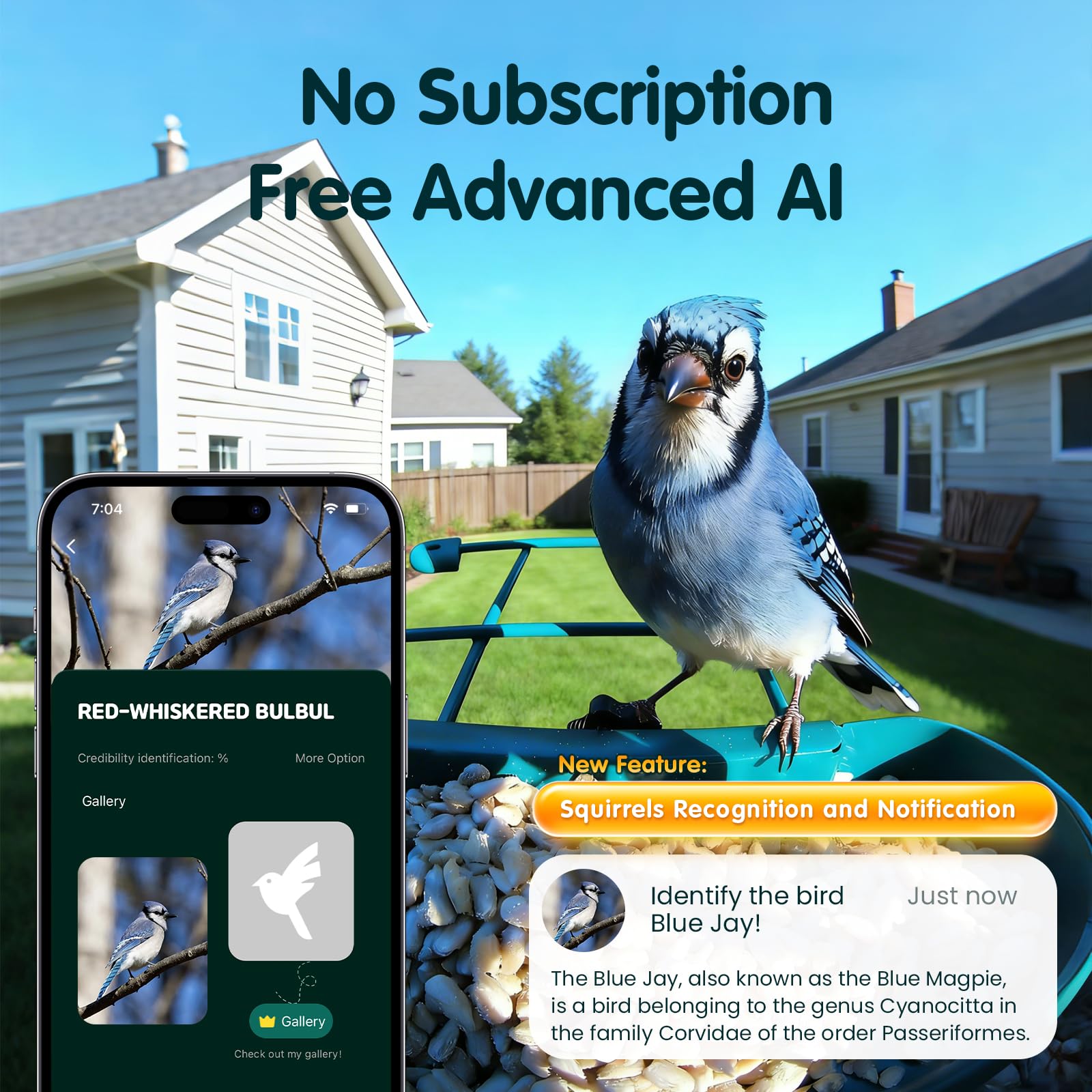 Humbirdy detachable camera held in hand, easy removal and convenient charging