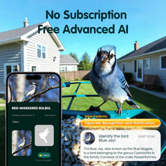 Humbirdy detachable camera held in hand, easy removal and convenient charging