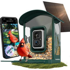 Humbirdy front view showing feeder and camera, clear four‑K live view benefit