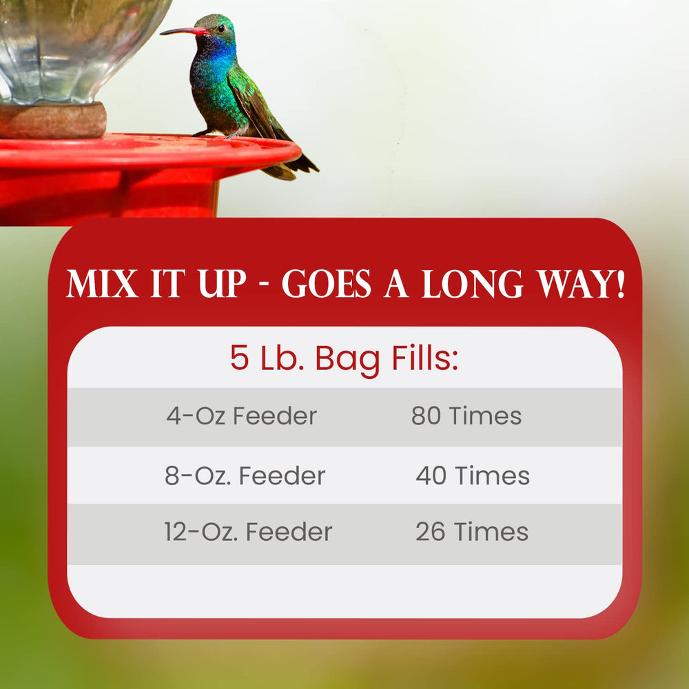 Hummingbird Market feeder in garden setting encouraging regular hummingbird visits
