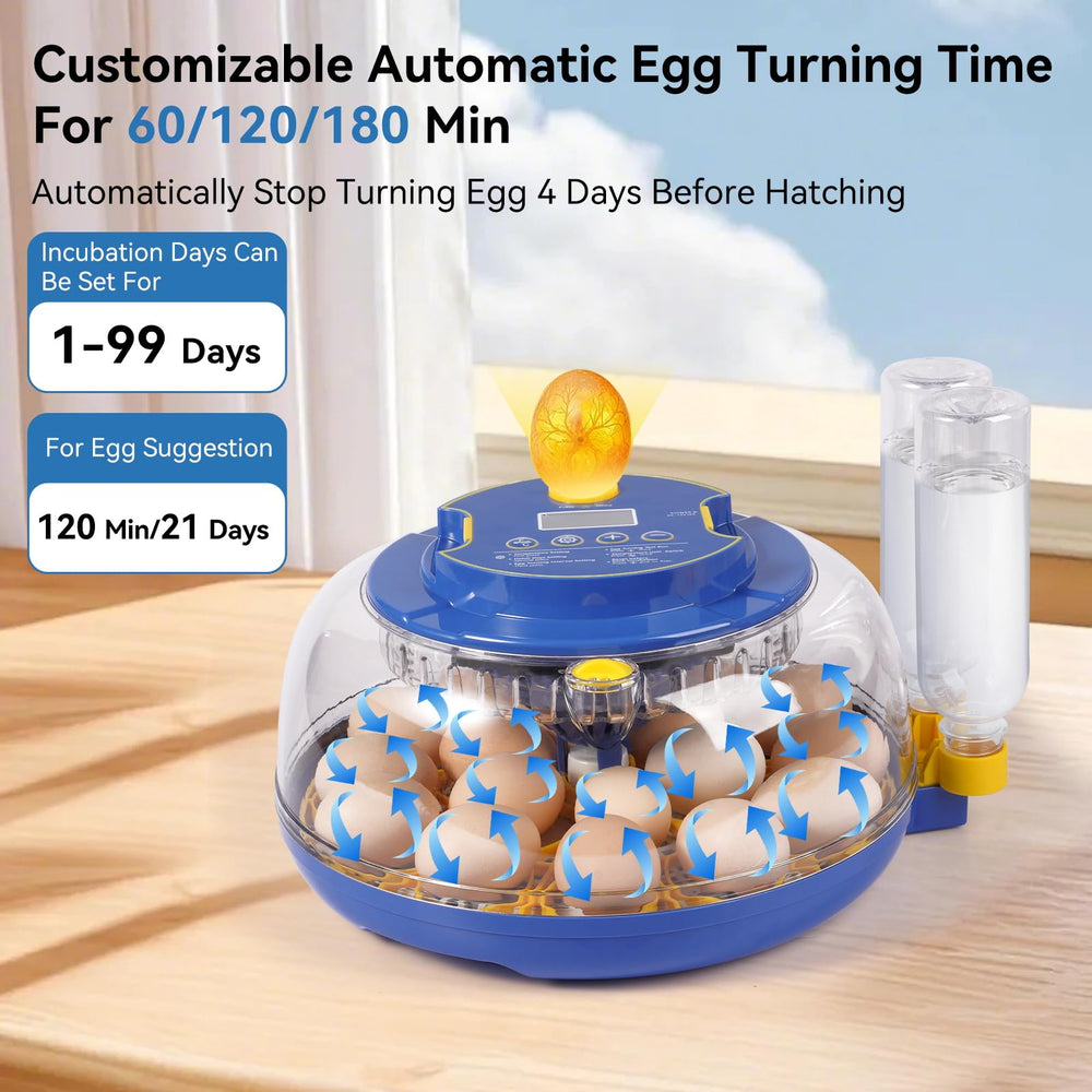 Humorrap clear 360° lid overhead view offering full visibility for observation