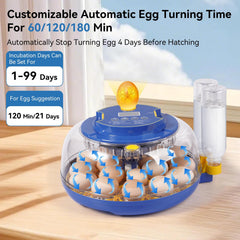 Humorrap clear 360° lid overhead view offering full visibility for observation