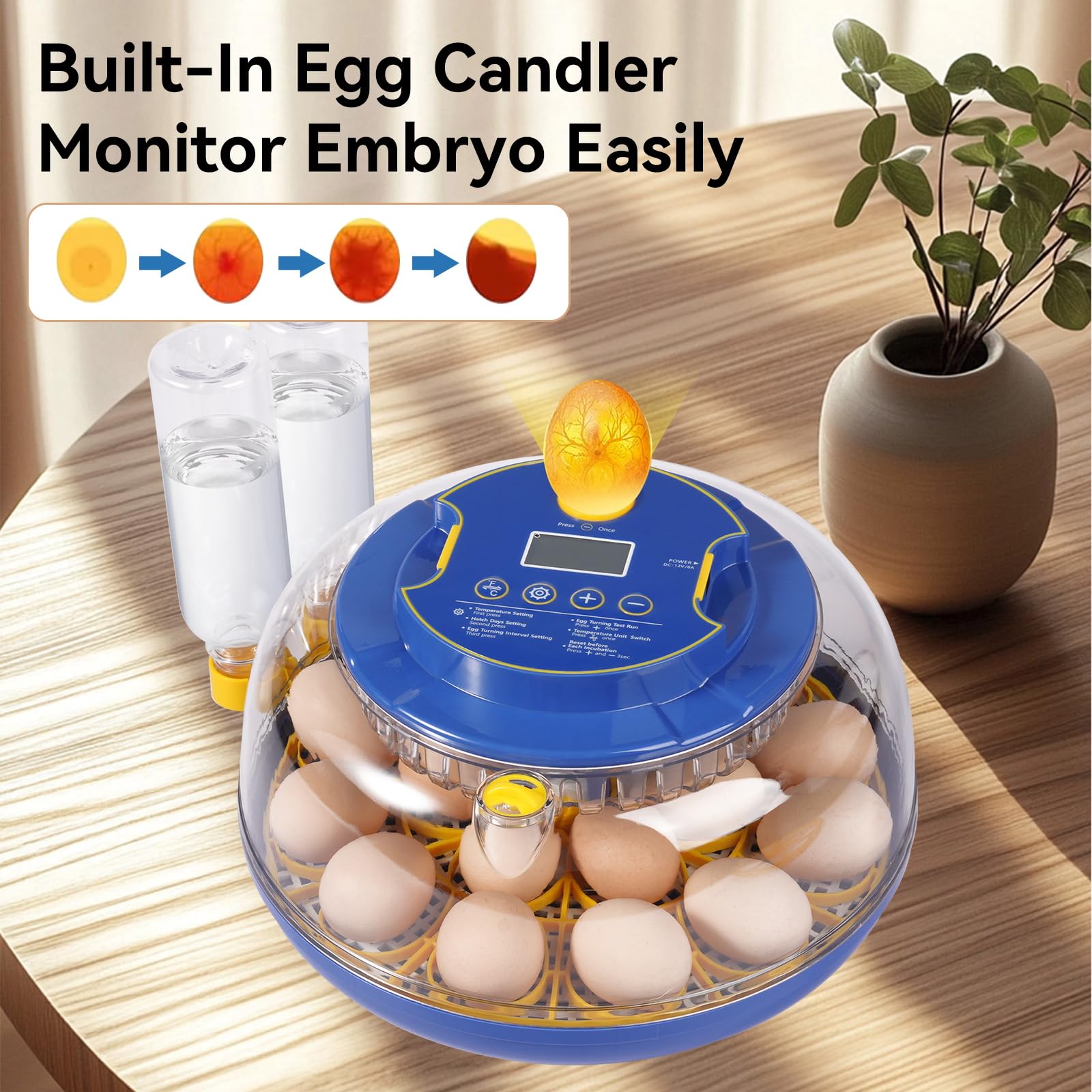 Humorrap top-mounted egg candler light illuminating embryo development clearly