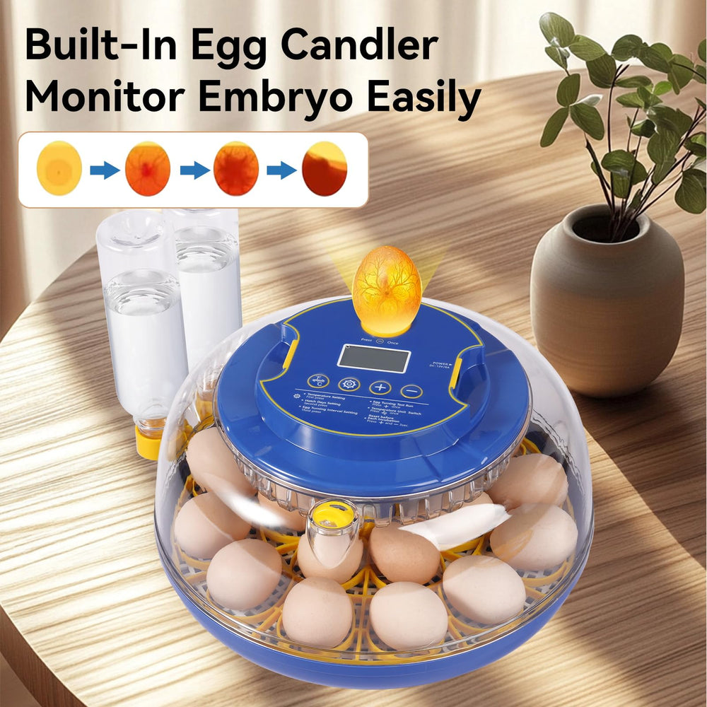 Humorrap top-mounted egg candler light illuminating embryo development clearly