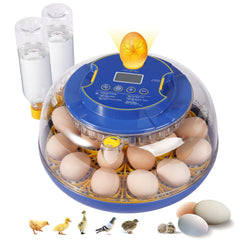 Humorrap incubator front view showing controls and clear lid for easy monitoring